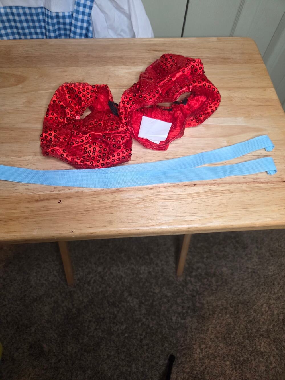 Rubies Wizard of Oz Dorthy Costume with Hair Ribbons and Ruby Red Shoe Covers